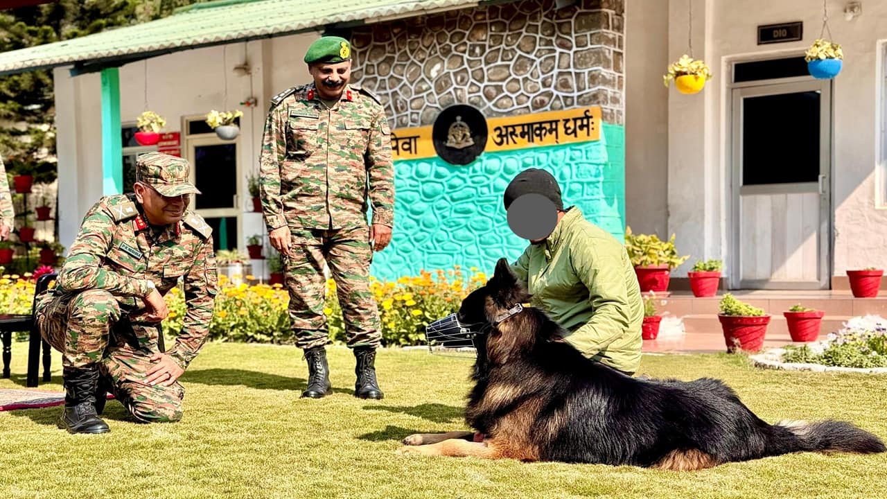 How is braveheart dog Tyson doing after 'taking the first bullet'? Alert and recovering well, says the Army