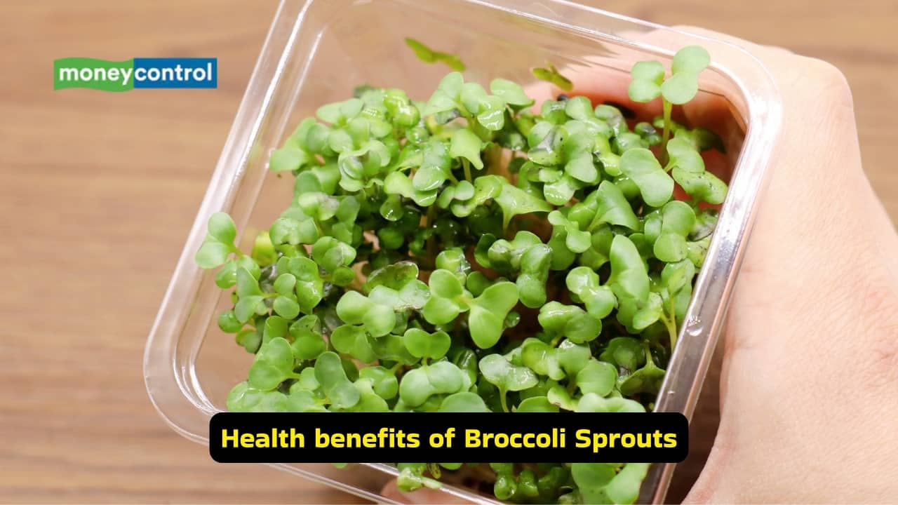 5 foods linked to lower cancer risk, shared by Harvard-trained gastroenterologist