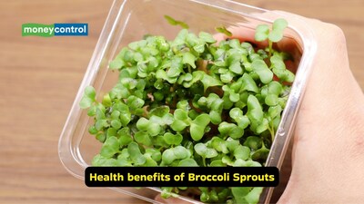 Health benefits of broccoli sprouts: These are packed with sulforaphane, a compound that activates detox and antioxidant pathways (Image: Canva)