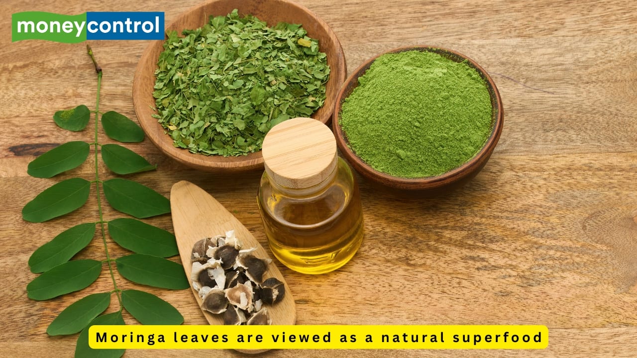 Health benefits of Moringa leaves: Lower blood sugar levels, recover from fatty liver disease faster, more