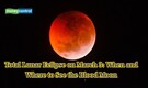 Celestial Event Alert: One week left for the next Total Lunar Eclipse; Know the timings and locations