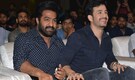 Akhil Akkineni to do a cameo in Jr NTR's Dragon: Reports