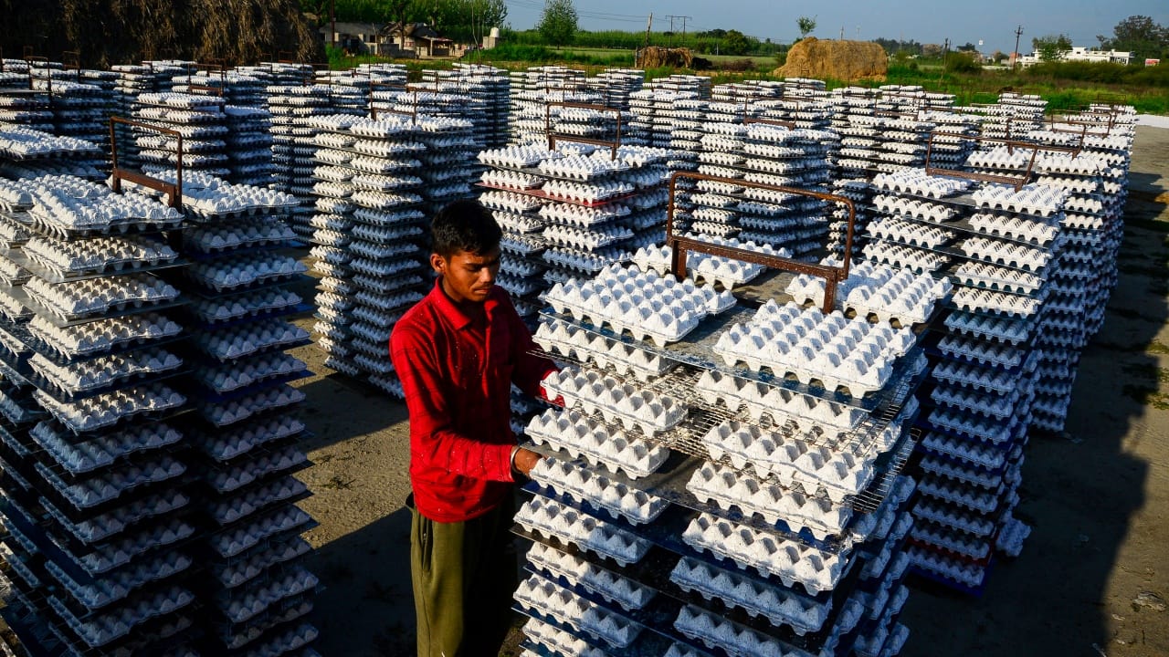 India’s GDP growth surprises positively during Q1, risks now balanced