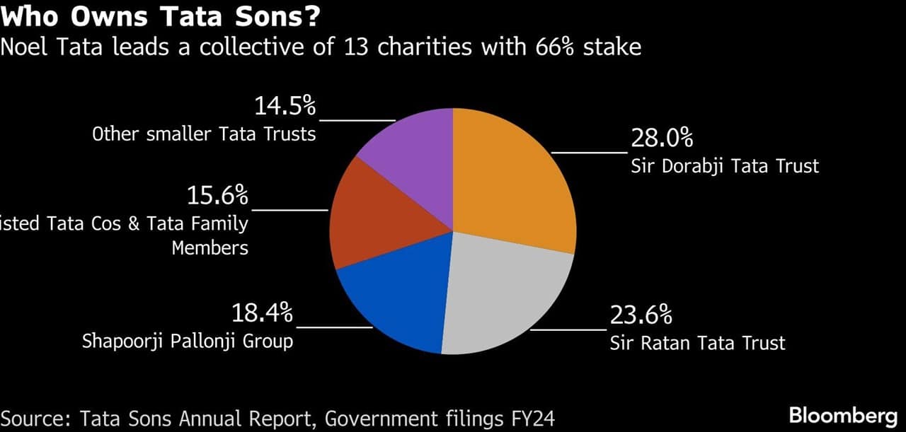 tata sons chart