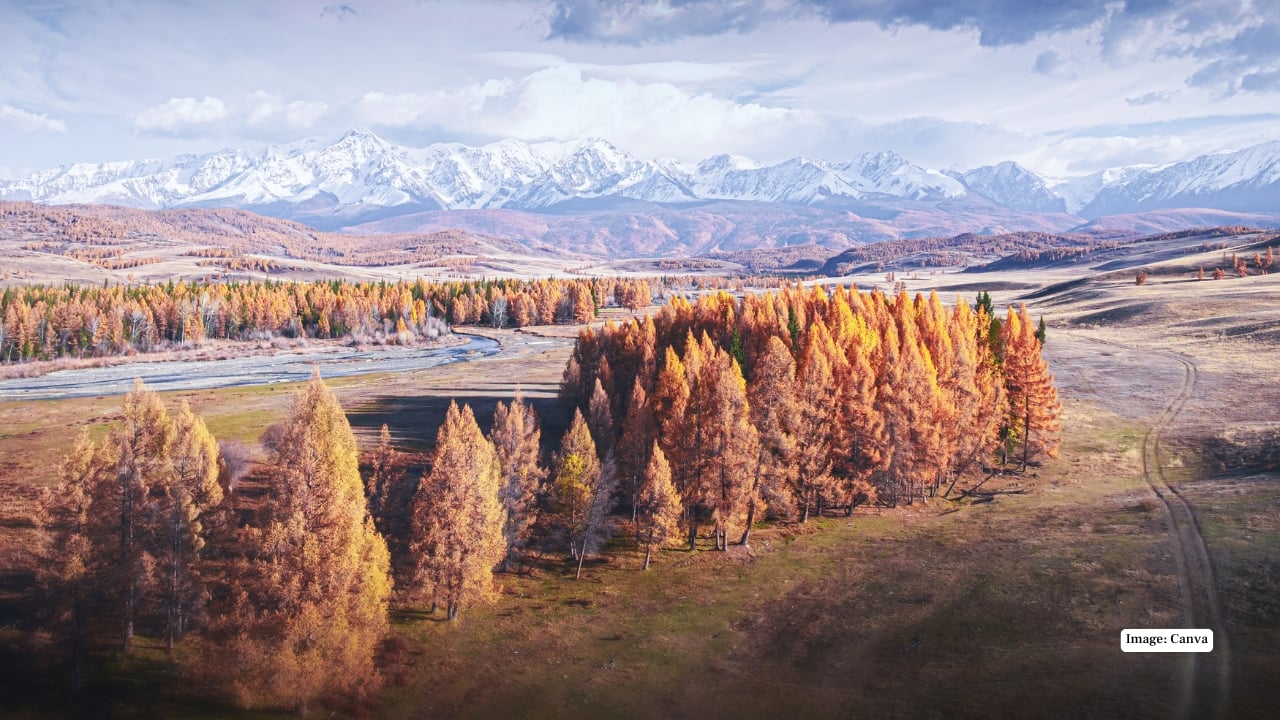 12. Altai Mountains Near the borders of Mongolia and Kazakhstan, the Altai Mountains offer alpine lakes, snow-capped peaks and nomadic culture. It is one of Russia’s most scenic regions, perfect for trekking and eco-tourism.
