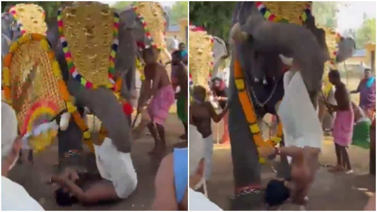 Man seriously injured after elephant hurls him during festival at Kerala temple, to undergo surgery. Video