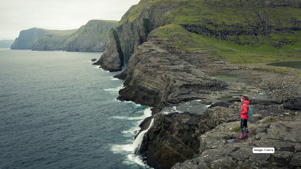 Trælanípa