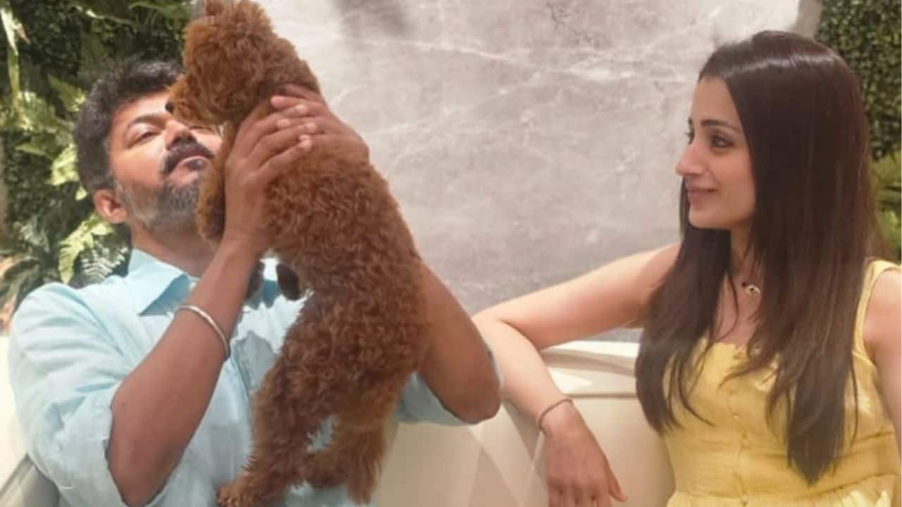 Thalapathy Vijay having an affair with Trisha Krishnan? netizens allege amid divorce from Sangeetha Sornalingam