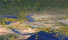 How Gulf skies emptied fast: Flight radar captures airspace clearance amid US-Israel, Iran tensions