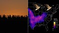 NEXRAD Radar detected over 75 million birds migrating to North— What are scientists seeing in the skies?
