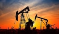 US waiver on Russian oil offers India short-term relief; Chinese competition, Gulf exposure limit gains
