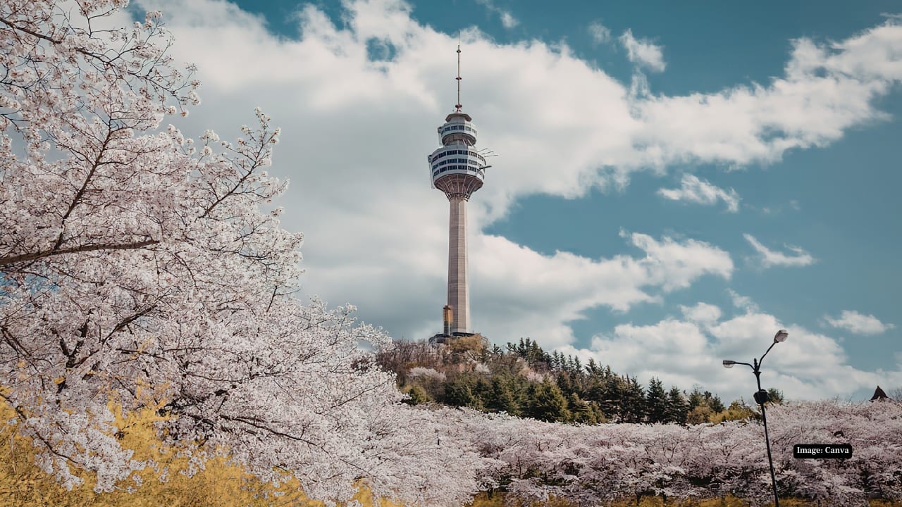 10. Seoul Index score: 4.904/10 Seoul stands out with an impressive 710 kid-friendly activities — one of the highest counts in the ranking. The city also boasts a strong child vaccination rate of 96.67%, reflecting robust healthcare infrastructure. Education investment remains high at 5.8% of GDP, and safety scores are solid. While statutory parental leave is shorter than in Australia or the UK, Seoul’s advanced infrastructure, technology integration, and emphasis on education make it particularly attractive for families prioritising academic achievement.