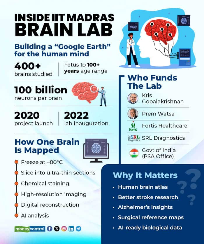 Brain Lab