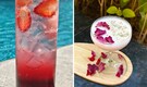 Holi 2026 cocktail recipes: Festive cocktails by India’s top mixologists