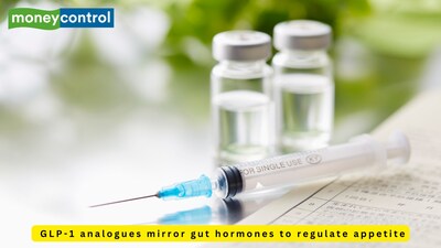 GLP-1 analogues like semaglutide and tirzepatide mirror gut hormones to regulate appetite, insulin, and satiety. (Picture: Canva)