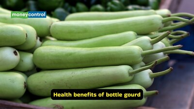 Health benefits of bottle gourd: Lauki is packed with vitamins, minerals, and fibre, and it is low in calories, which explains its reputation as a weight-loss ally (Image: Canva)