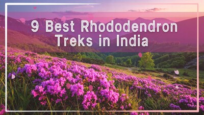 Spring transforms the Himalayas in India into a colourful paradise as rhododendrons bloom across trekking trails from Uttarakhand to Sikkim.