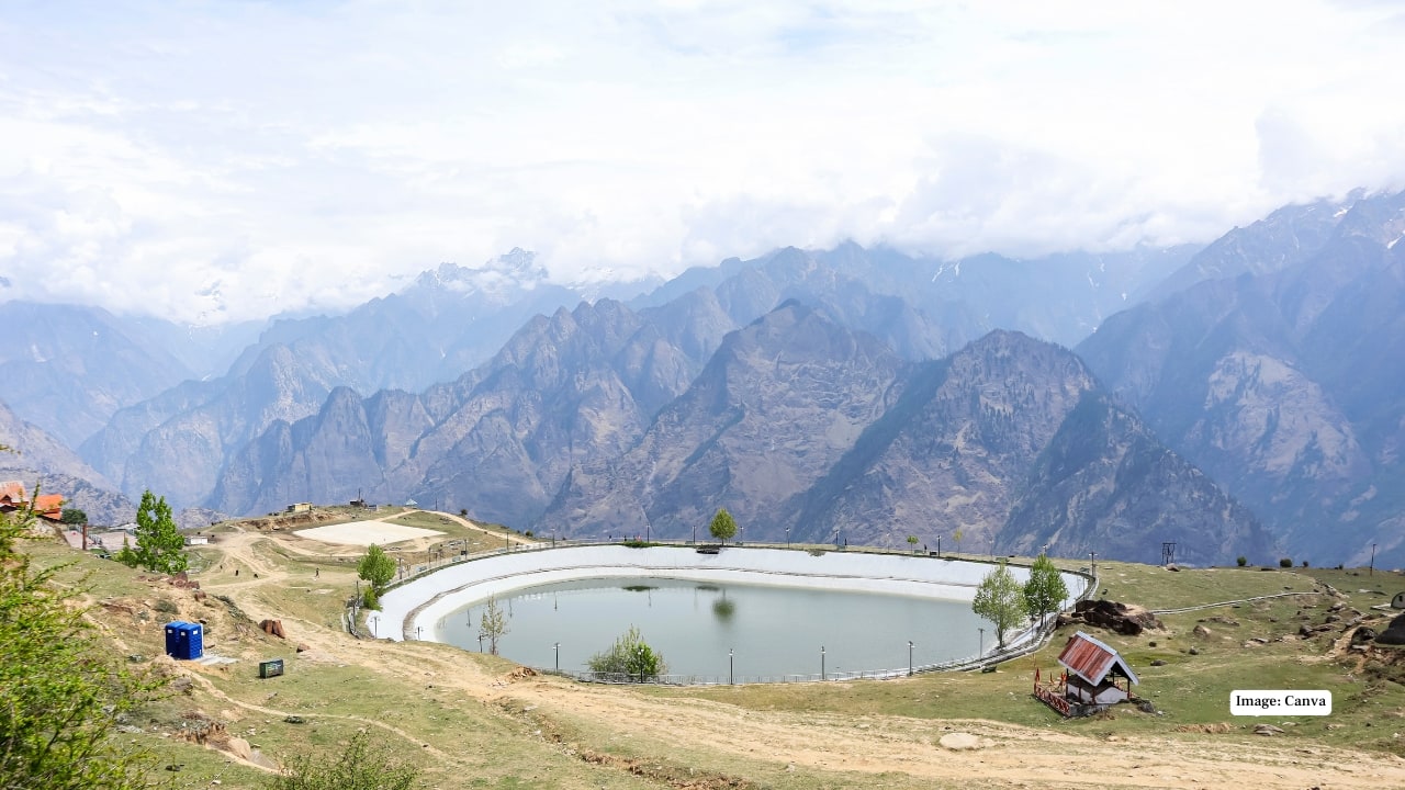 Auli