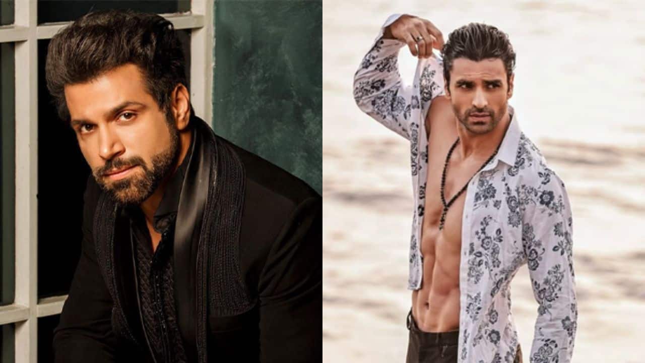 Naagin 7: Vivek Dahiya and Rithvik Dhanjani to enter the supernatural drama, likely to play Icchadhari cheetahs