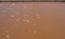 5 school students, including 2 girls, drown in Odisha; BJD & Congress express grief