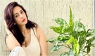 Chahatt Khanna speaks up on fashion policing and freedom of expression; says, 'Women's autonomy still unsettles people' - Exclusive interview