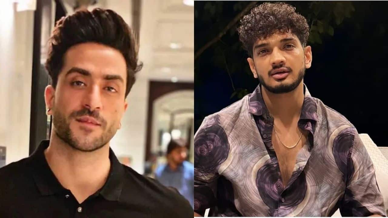 Aly Goni, Munawar Faruqui and others back Anurag Dobhal after car crash incident