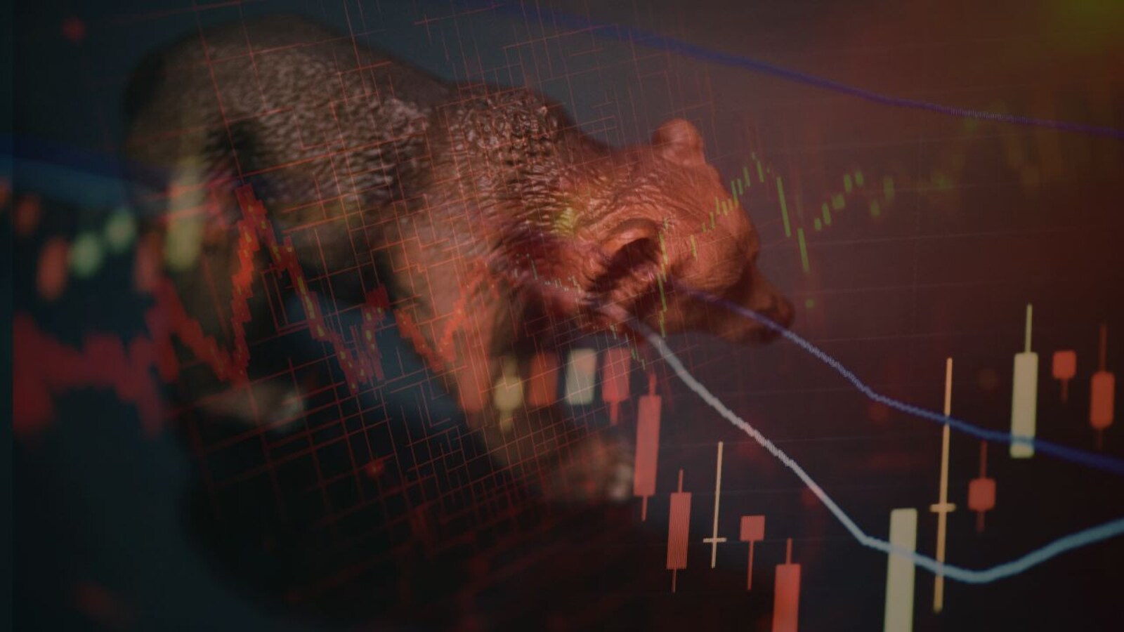 Sensex settles 1,300 pts lower, Nifty ends at 24,000; crude oil surge among key factors behind decline