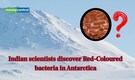 Indian scientists found a rare red-coloured microbe in Antarctica that can survive up to 85 minutes of direct UV exposure