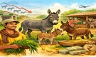 Donkey farming is new ‘aura’ farming: Govt offers up to Rs 50 lakh support for interested entrepreneurs