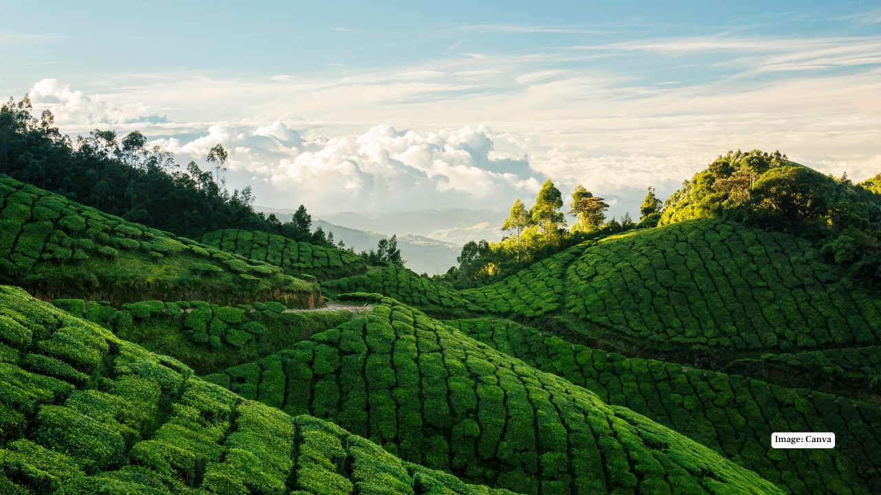 Munnar