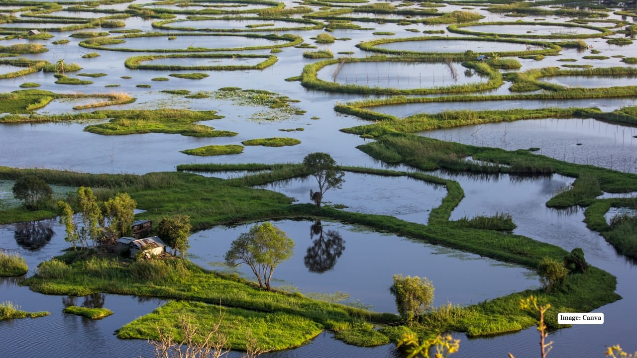 Manipur
