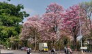 10 stunning spring destinations in India for a refreshing getaway