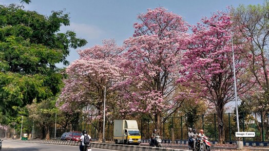 10 stunning spring destinations in India for a refreshing getaway
