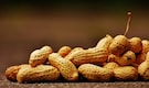Diet tips: 5 healthy vegetarian foods that offer more protein than eggs