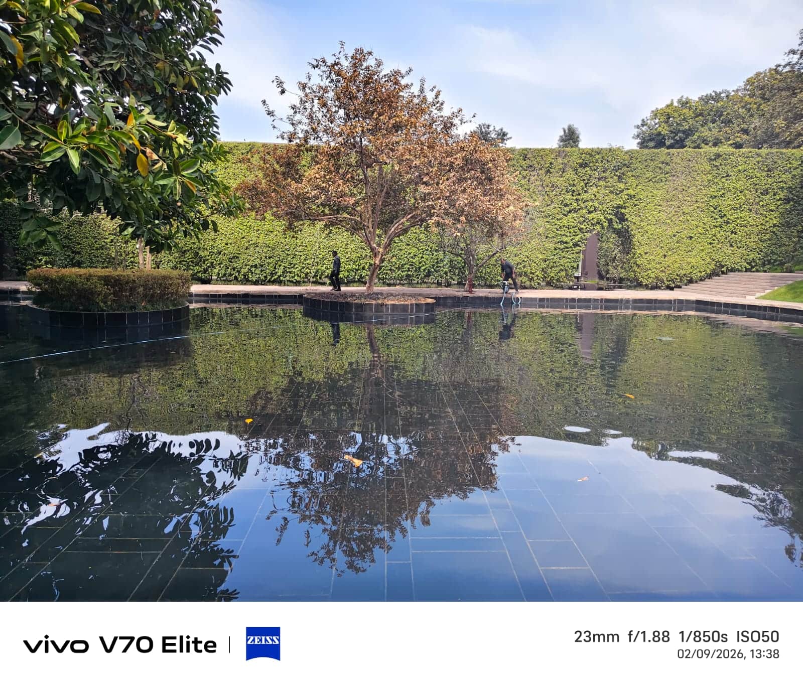 vivo sample 5