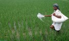 Fertiliser subsidy bill likely to rise 28% to Rs 2.2 lakh crore in FY27 amid Iran war, rising energy prices: Govt official