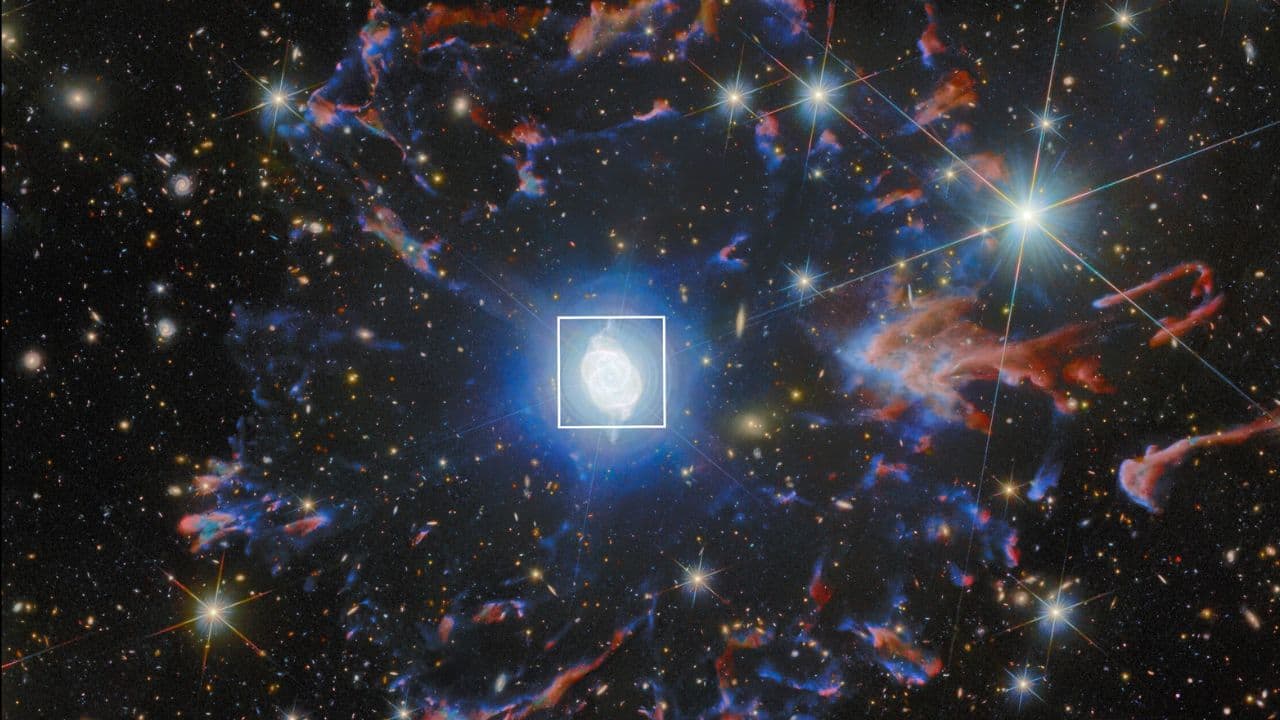 Euclid Space Telescope's image of Cat Eye Nebula. (Image: ESA Euclid/Euclid Consortium)