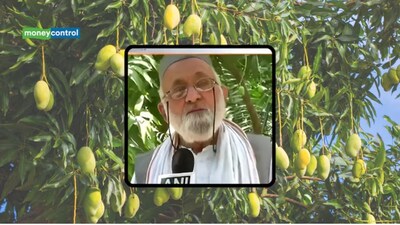 Mango Man of India (Image: ANI)