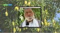 Meet the ‘Mango Man of India’, who grows 350+ mango varieties including Modi and Aishwarya on one 125-year-old tree