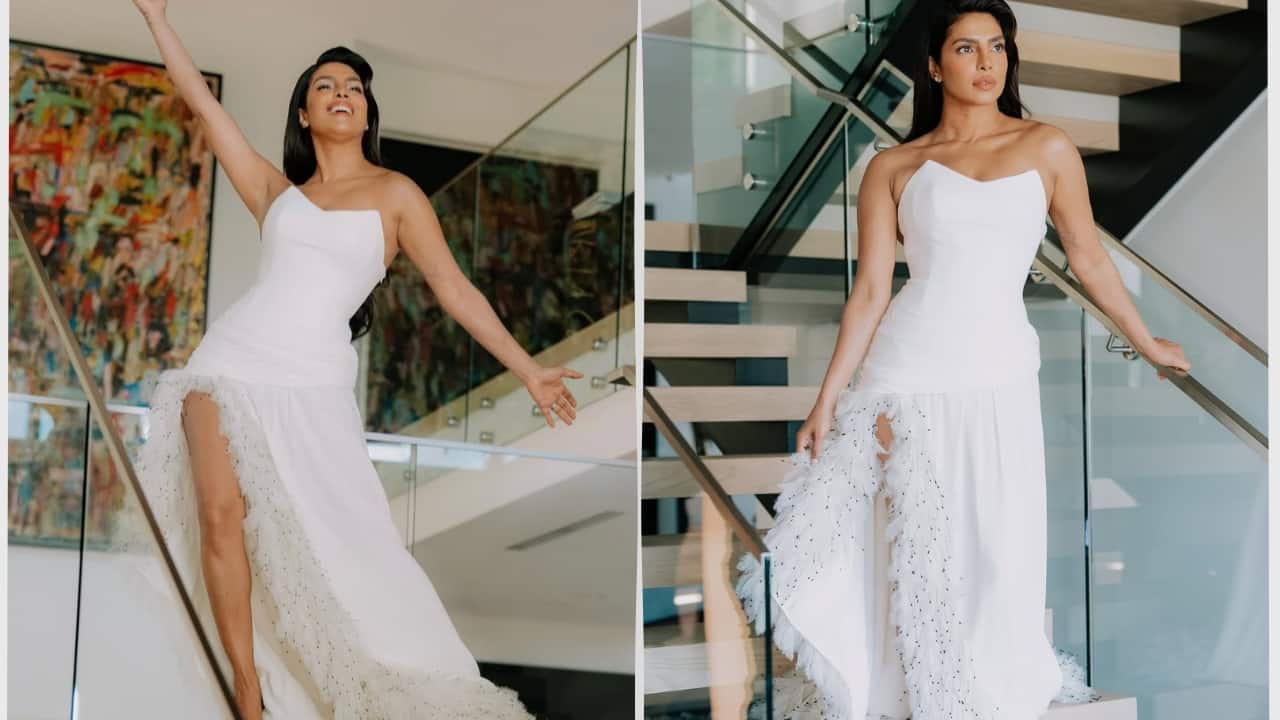 Priyanka Chopra in Dior dress