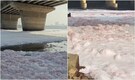 'Pink icebergs' in Yamuna: Toxic foam sparks fresh pollution alarm in Delhi