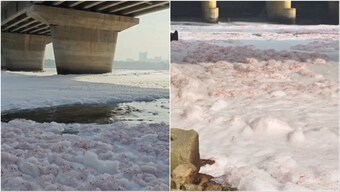 'Pink icebergs' in Yamuna: Toxic foam sparks fresh pollution alarm in Delhi