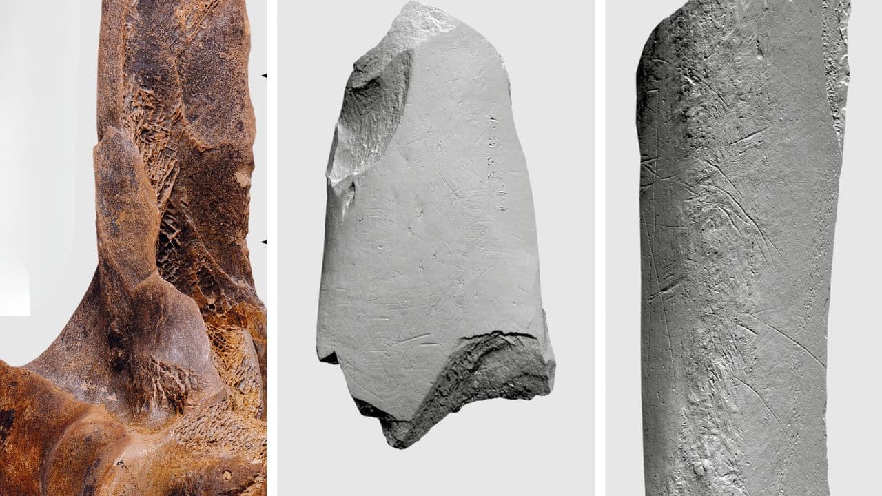 Who built the 125,000-year-old ‘factory’? This German hill may hold clues to Neanderthal activity