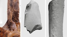 Who built the 125,000-year-old ‘factory’? This German hill may hold clues to Neanderthal activity