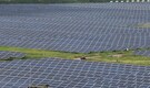 Govt may cancel up to 7 GW unviable RE tenders, move to demand-linked bidding