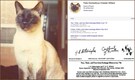 Why a physicist made his cat 'co-author' his research papers and even 'sign' them