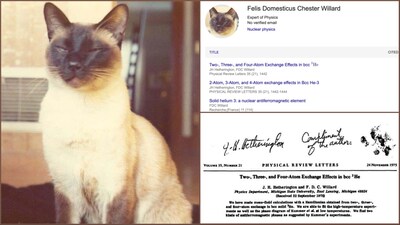 Felis Domesticus Chester Willard, a Siamese cat, was credited as a co-author on three peer‑reviewed physics papers since the 1970s. (Image credit: X)