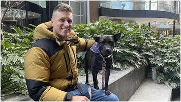 Dog’s tumours shrink after owner uses ChatGPT and AI to create custom cancer vaccine