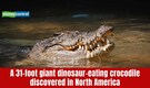 A 31-foot dinosaur-eating giant crocodile discovered in North America
