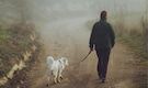 What happens when you walk daily for 6 months? US-based nutritionist breaks down the benefits